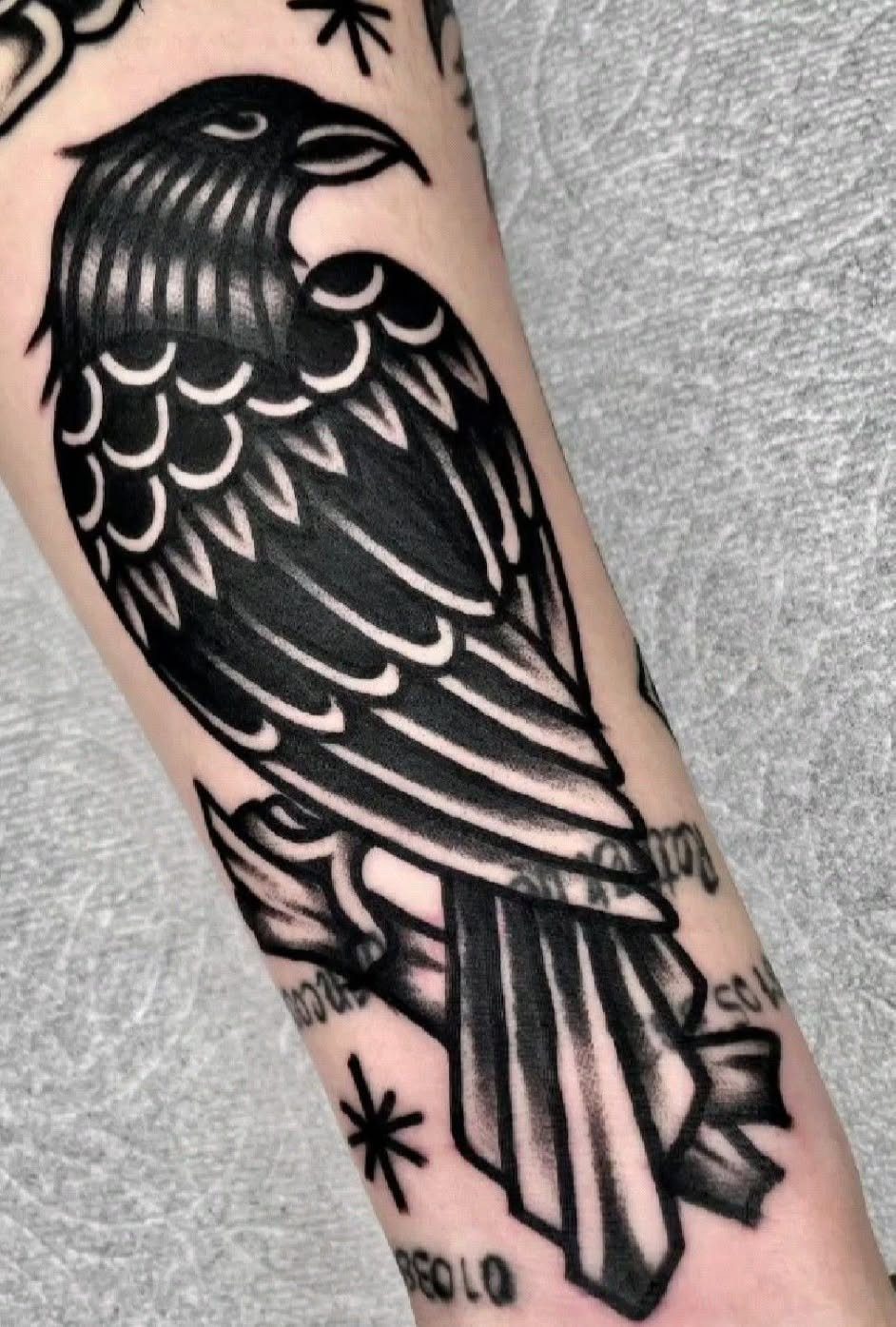 Black and grey American traditional raven tattoo on a person's forearm.