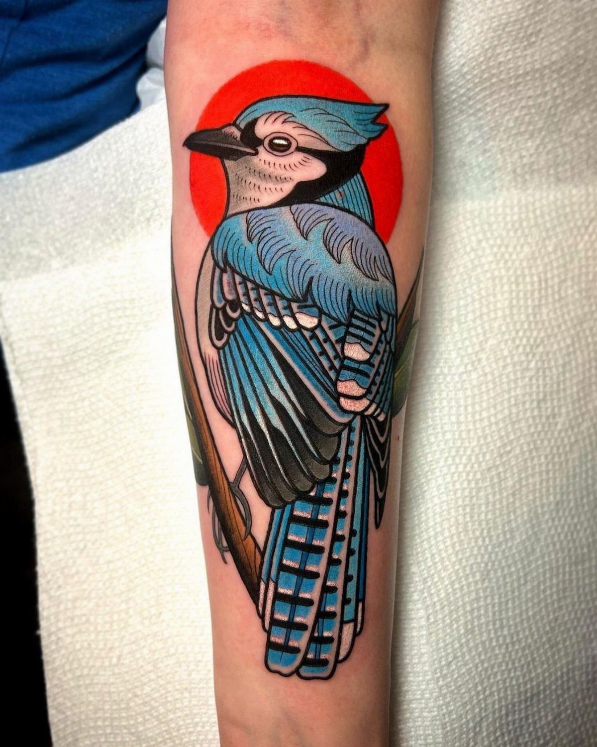 Blue jay tattoo on an arm with a red circular background and branch.