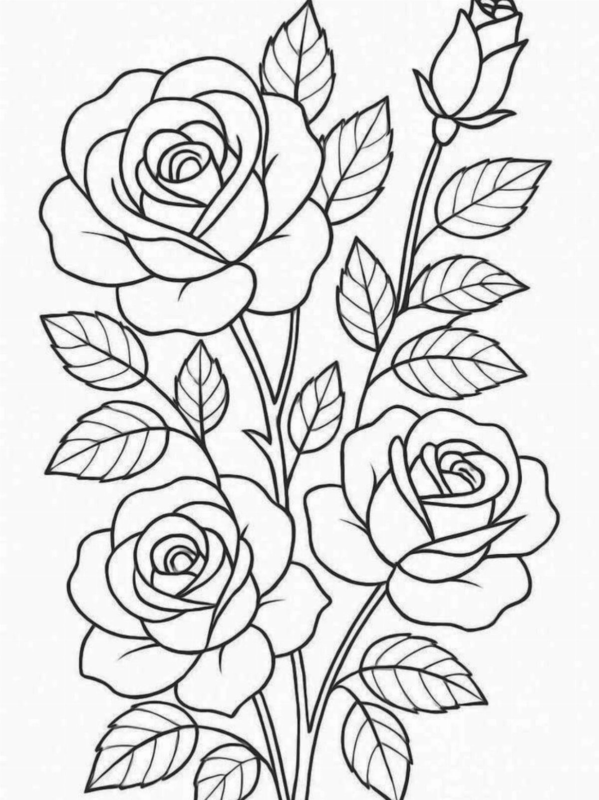 Line drawing of three roses and a bud with leaves on white background