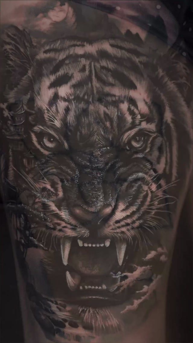 Roaring tiger head tattoo in black and grey ink on a forearm