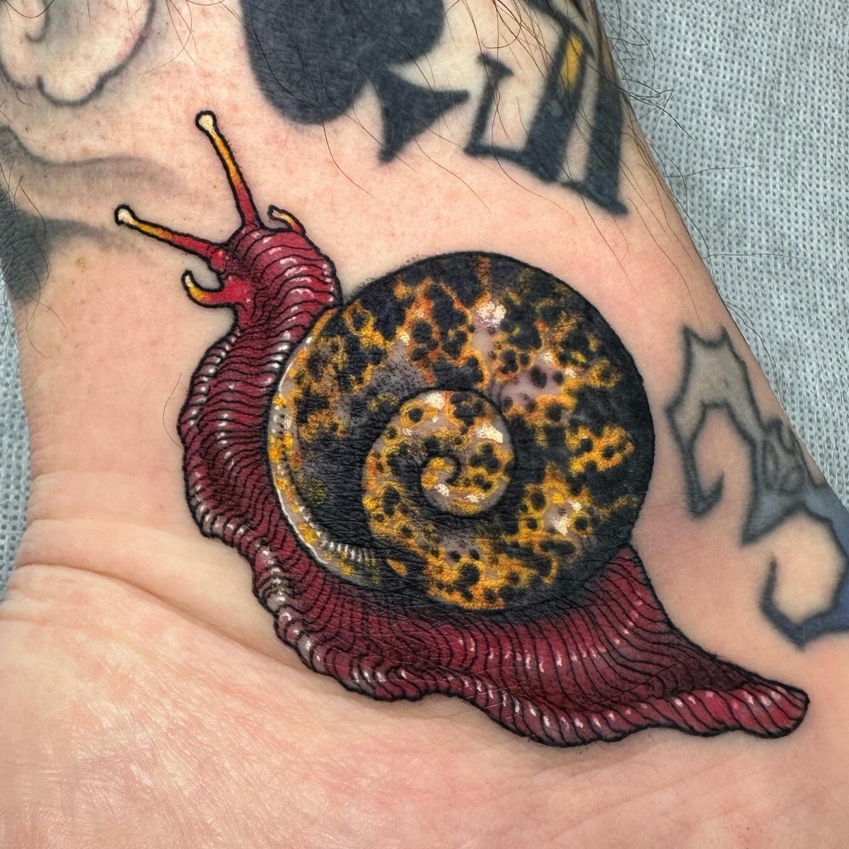 Snail tattoo with a red body and brown spiraled shell on skin.