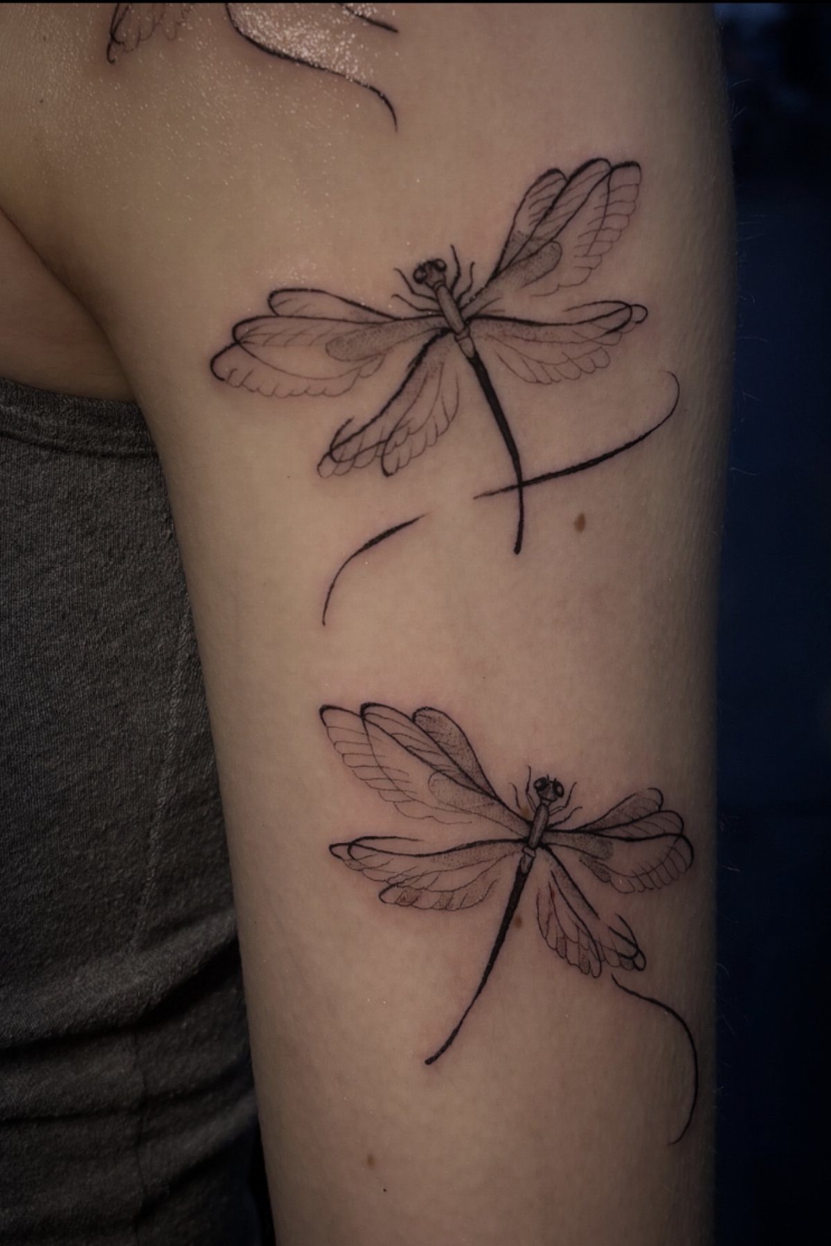 Two dragonfly tattoos with fine black line art on a person's arm.