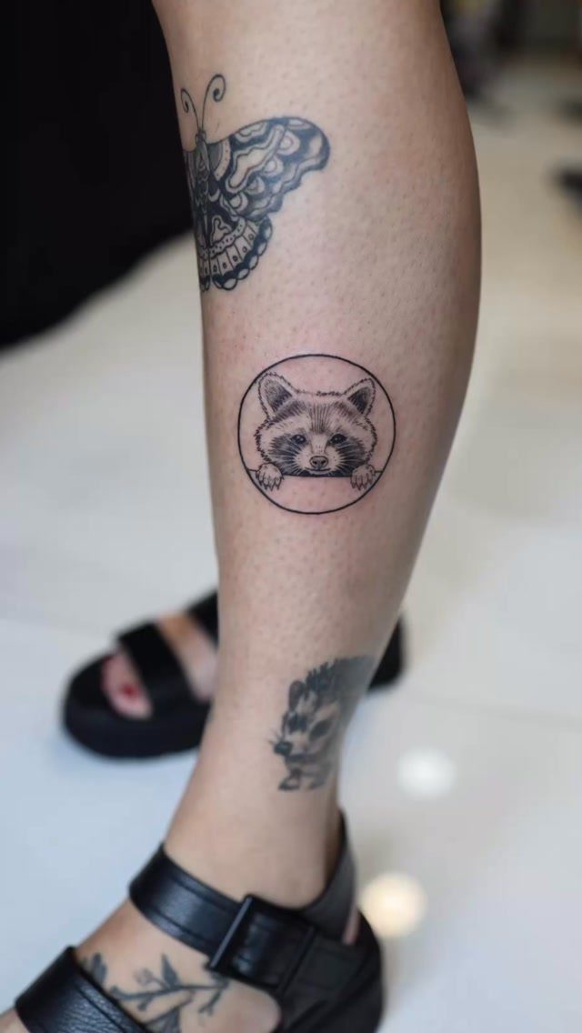 Raccoon, hedgehog, and butterfly tattoos on a person's lower leg and ankle.
