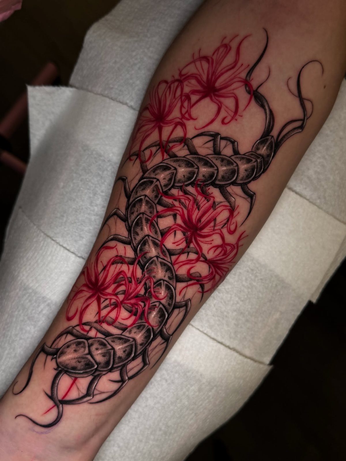 Black armored centipede tattoo entwined with red spider lily flowers on a forearm
