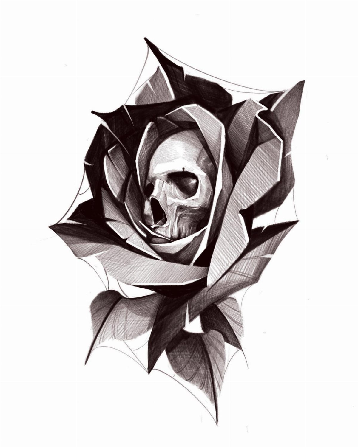 Human skull nestled inside the petals of a blooming rose pencil drawing