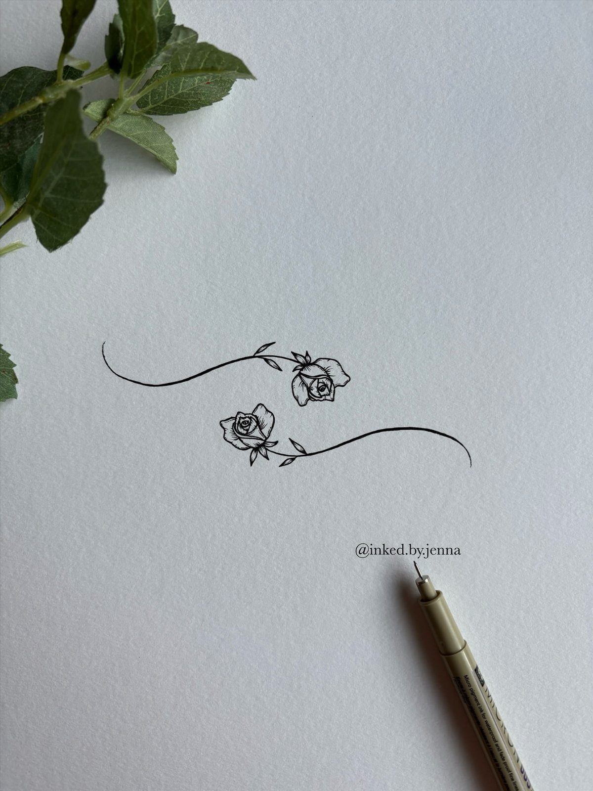 Two roses with flowing stems drawn in black ink on white paper.