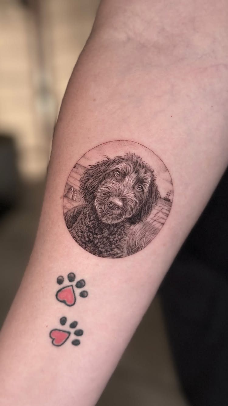Detailed single needle tattoo of a curly dog and paw prints on a forearm