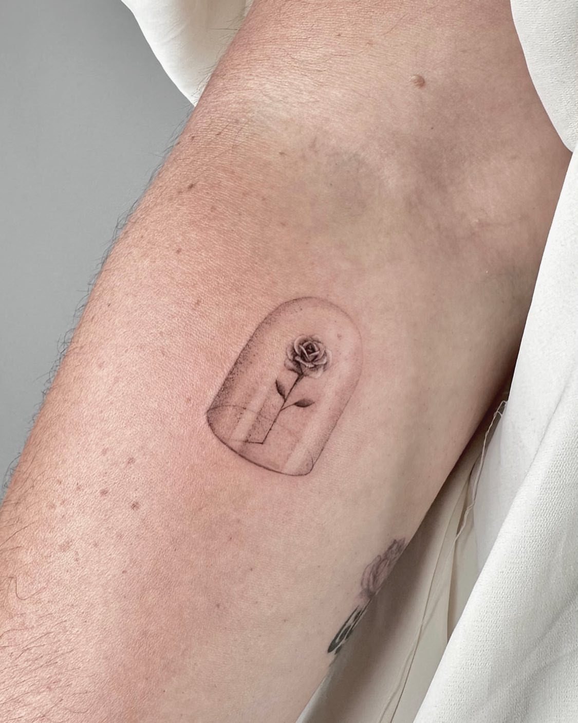 Hyper-realistic single needle tattoo of a rose under a glass dome on an arm