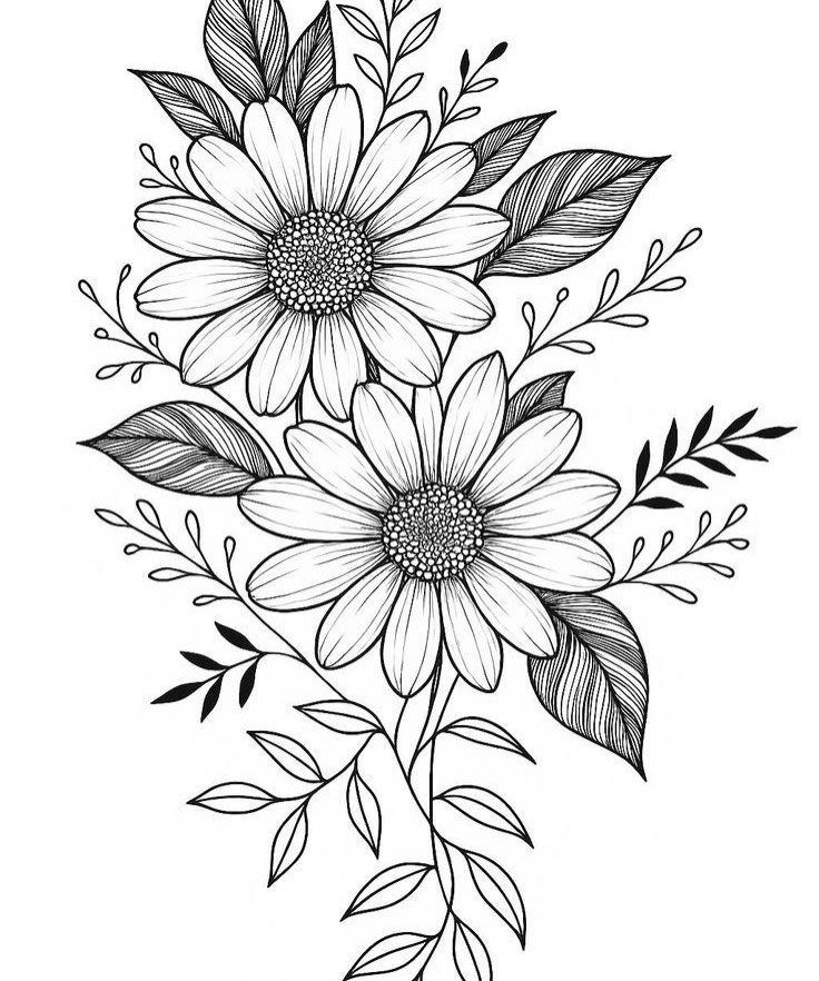 Two daisies with leaves in a black and white line art drawing.