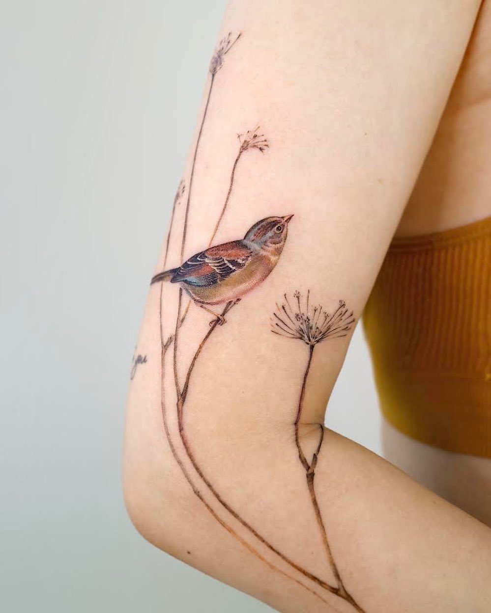 Small brown bird tattoo perched on thin stems on a person's forearm.