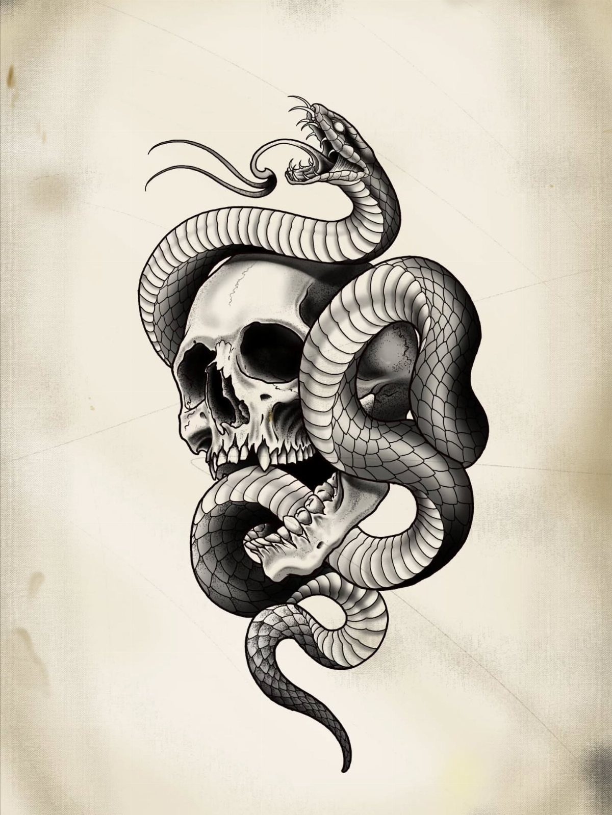 Human skull entwined with a large snake in a black and grey tattoo design