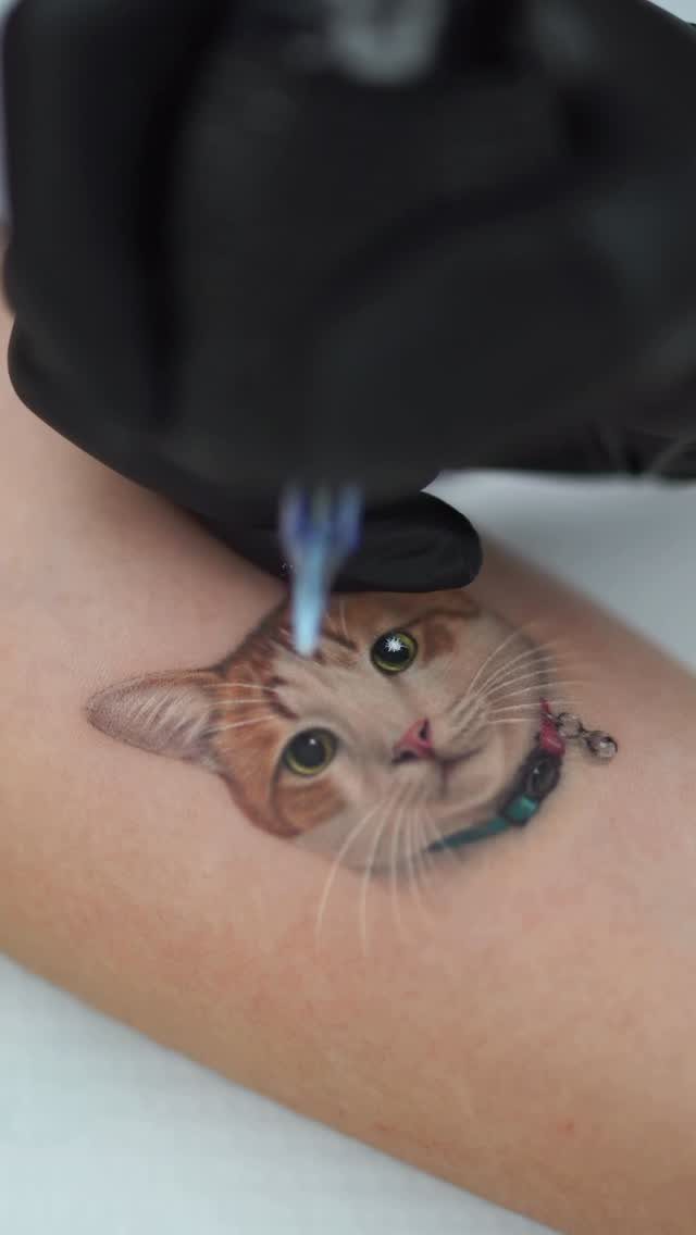 Realistic orange tabby cat tattoo on a person's arm being worked on.