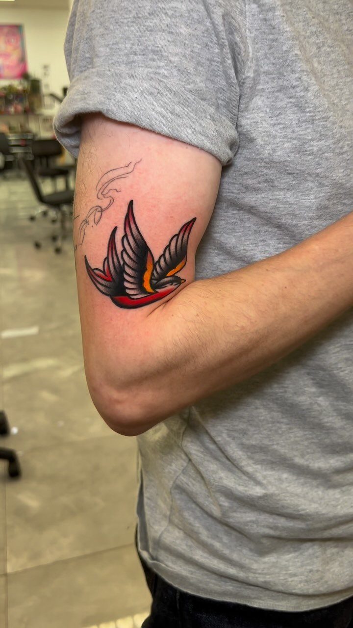 Swallow bird tattoo in traditional style on a person's upper arm.